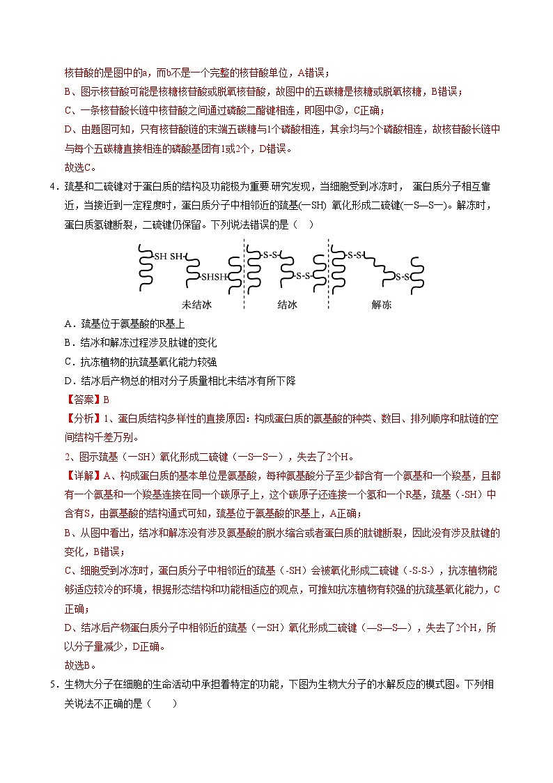 (苏教版2019,第1_2章)(全解全析)(苏教版2019)第3页
