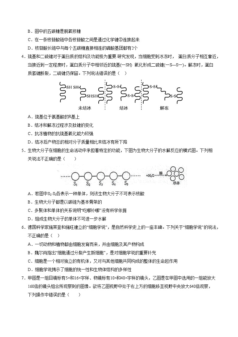 (苏教版2019,第1_2章)【测试范围:第1~2章】(考试版A4)(苏教版2019)第2页