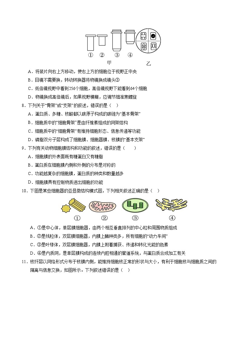(苏教版2019,第1_2章)【测试范围:第1~2章】(考试版A4)(苏教版2019)第3页