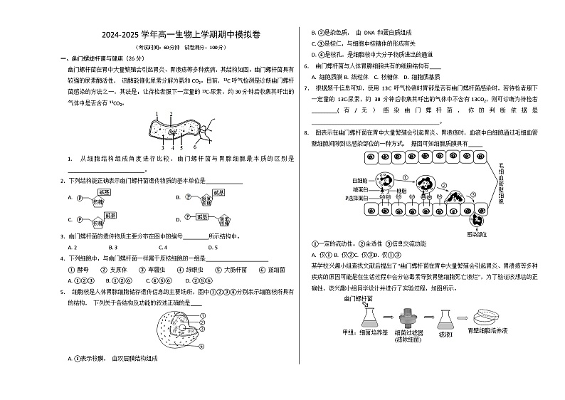 高一生物期中模拟卷(考试版A3)(上海专用)第1页