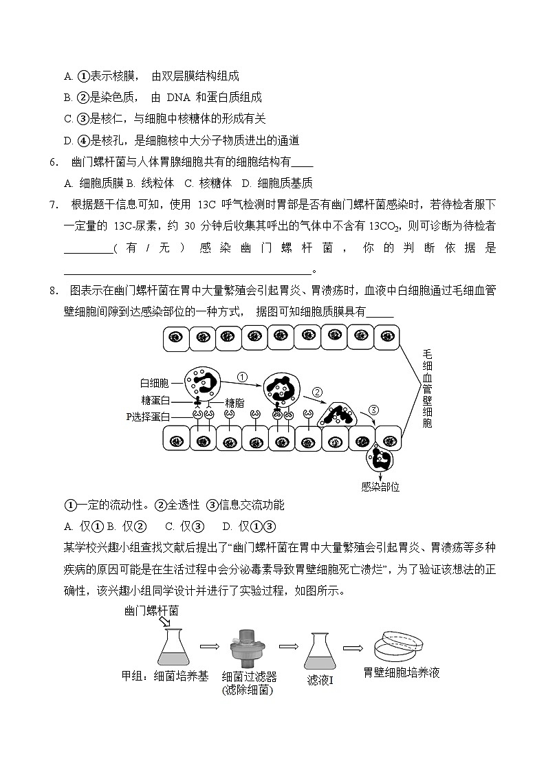 高一生物期中模拟卷(考试版A4)(上海专用)第2页