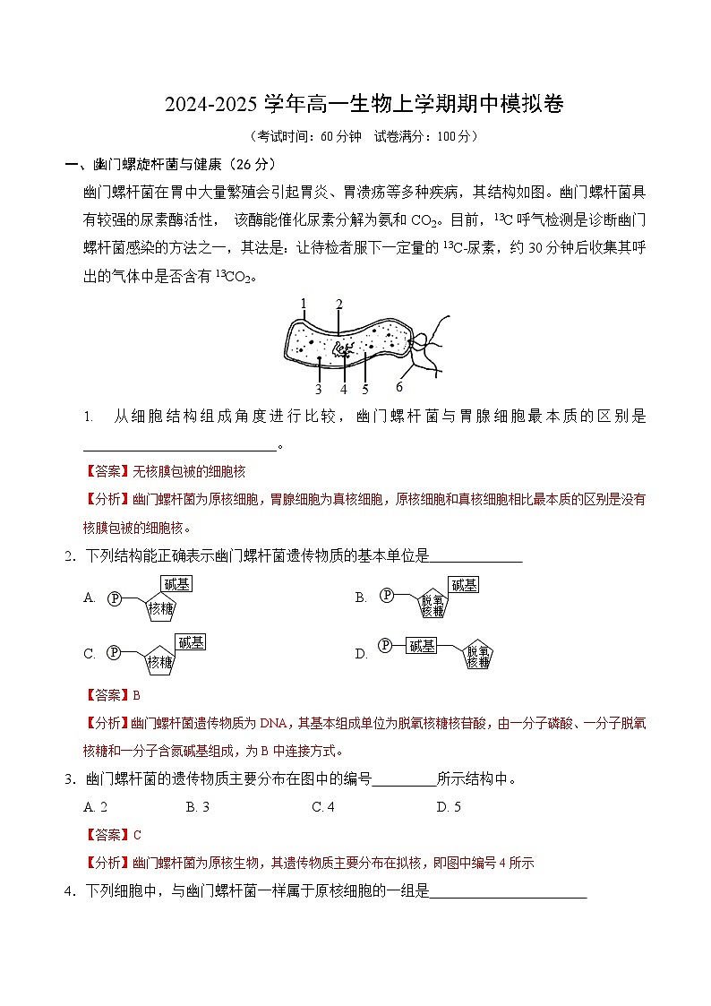 高一生物期中模拟卷(全解全析)(上海专用)第1页