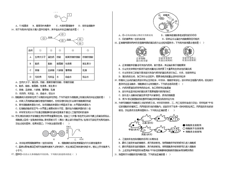 (人教版2019,第1_4章)02【测试范围:第1~4章】(考试版A3)(人教版2019)第2页