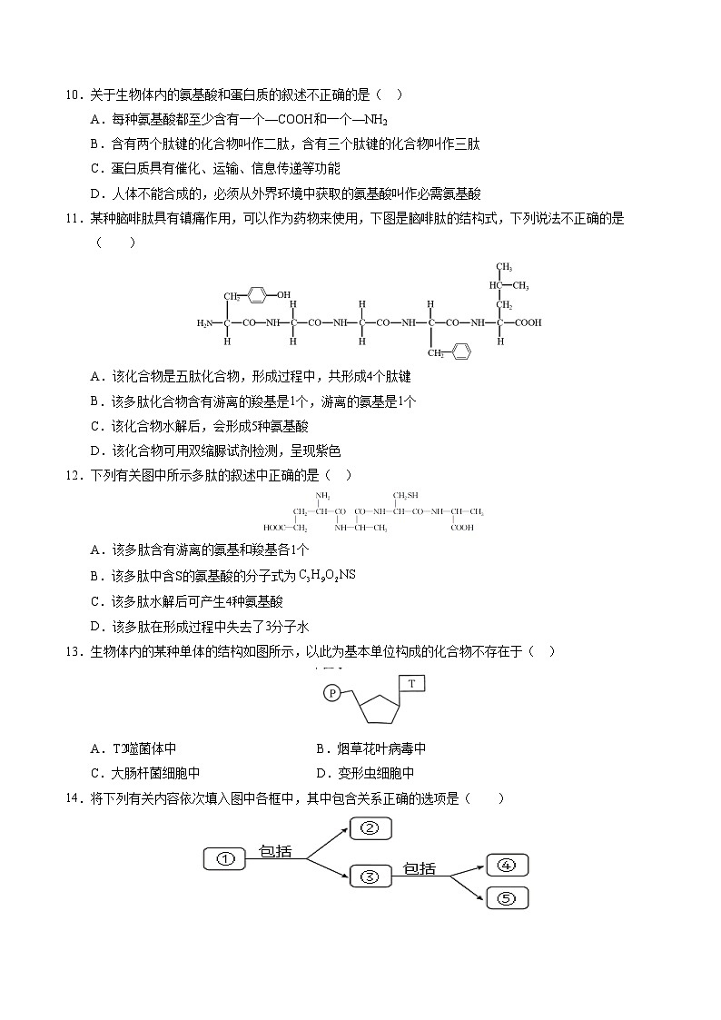 (人教版2019,第1_4章)02【测试范围:第1~4章】(考试版A4)(人教版2019)第3页