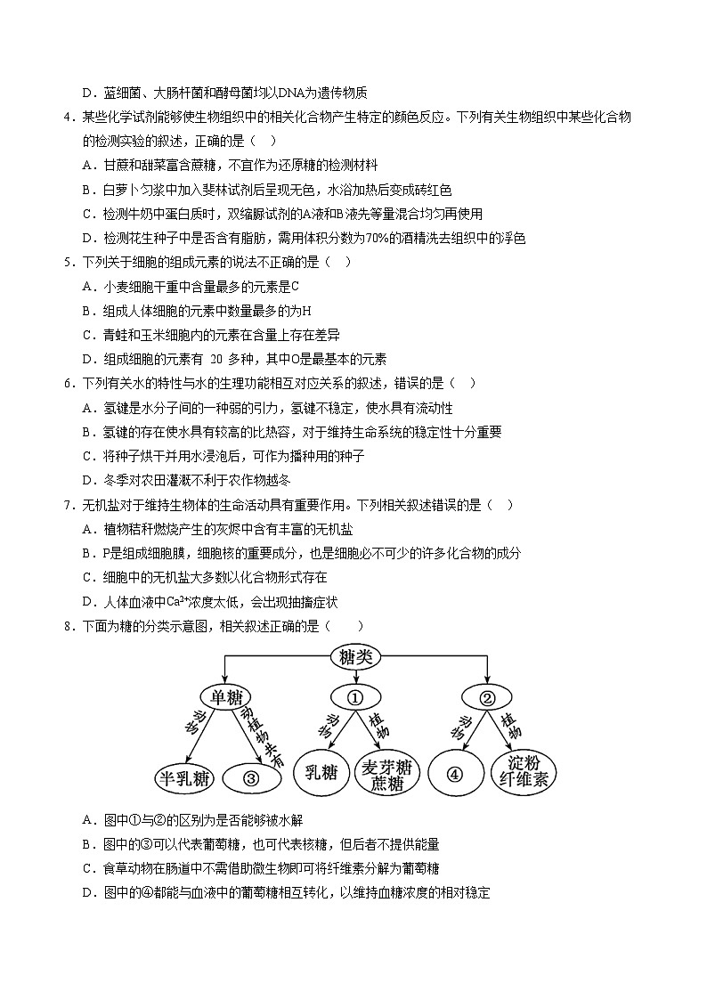(人教版2019,第1_4章)01【测试范围:第1~4章】(考试版A4)(人教版2019)第2页