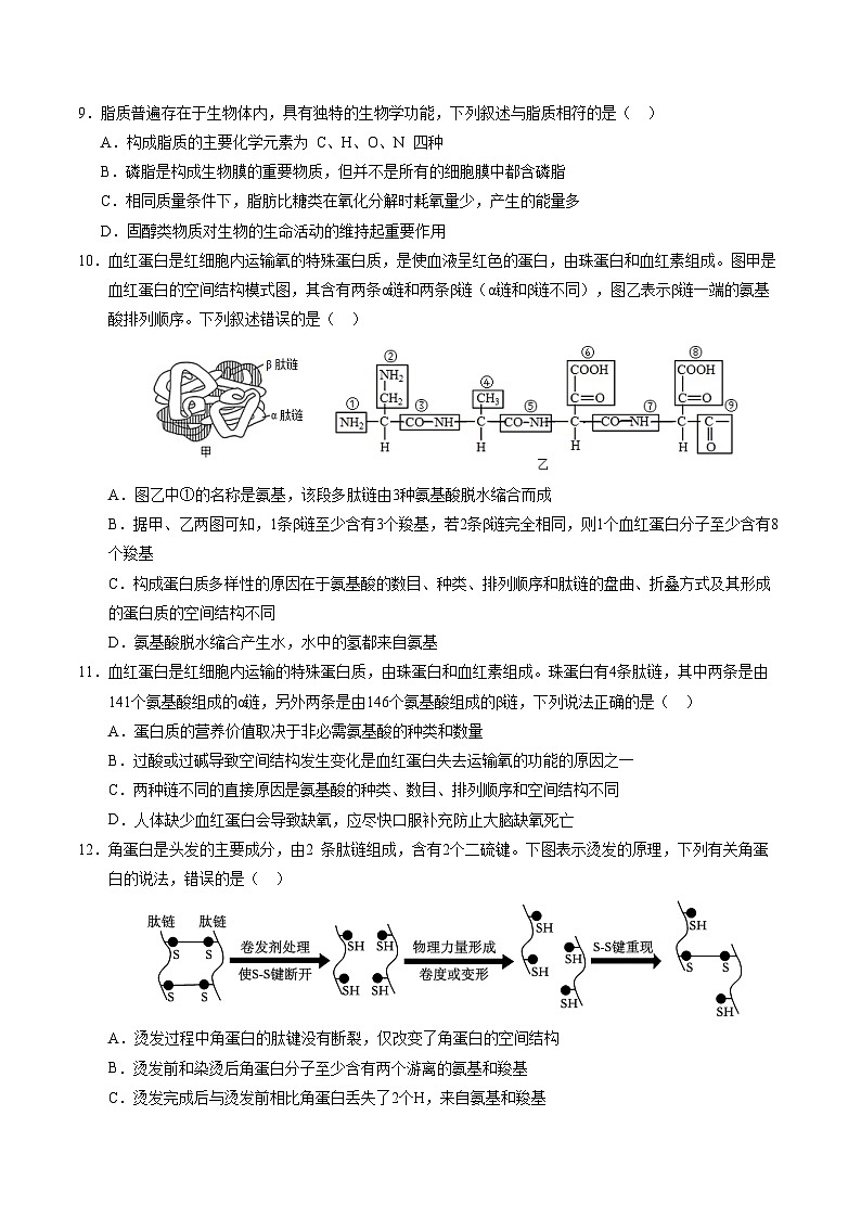 (人教版2019,第1_4章)01【测试范围:第1~4章】(考试版A4)(人教版2019)第3页