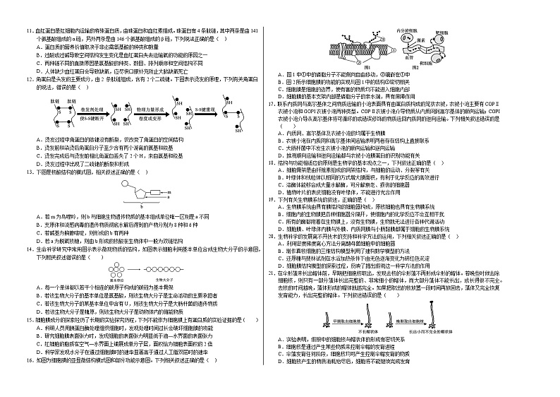 (人教版2019,第1_4章)01【测试范围:第1~4章】(考试版A3)(人教版2019)第2页