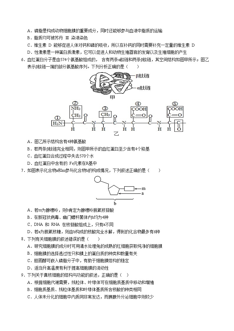 2024-2025学年高一上学期期中模拟考试生物(江苏专用,第1_4章)试卷(Word版附解析)02