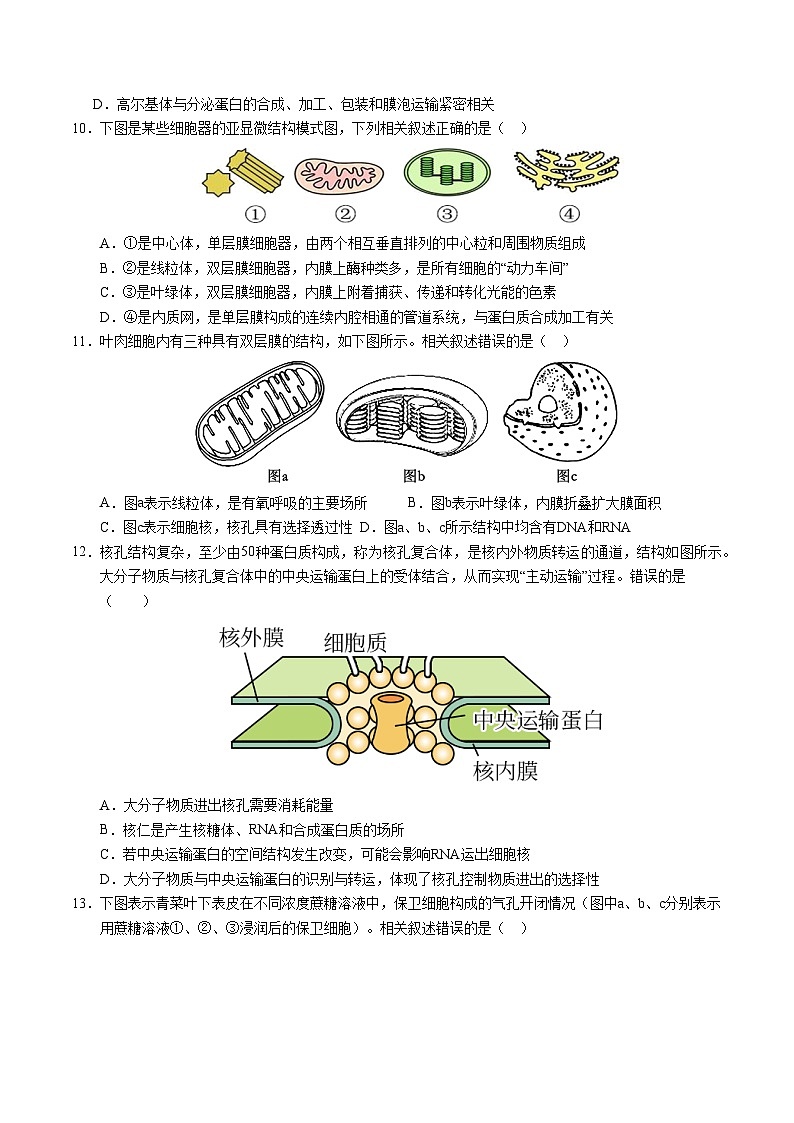 2024-2025学年高一上学期期中模拟考试生物(江苏专用,第1_4章)试卷(Word版附解析)03