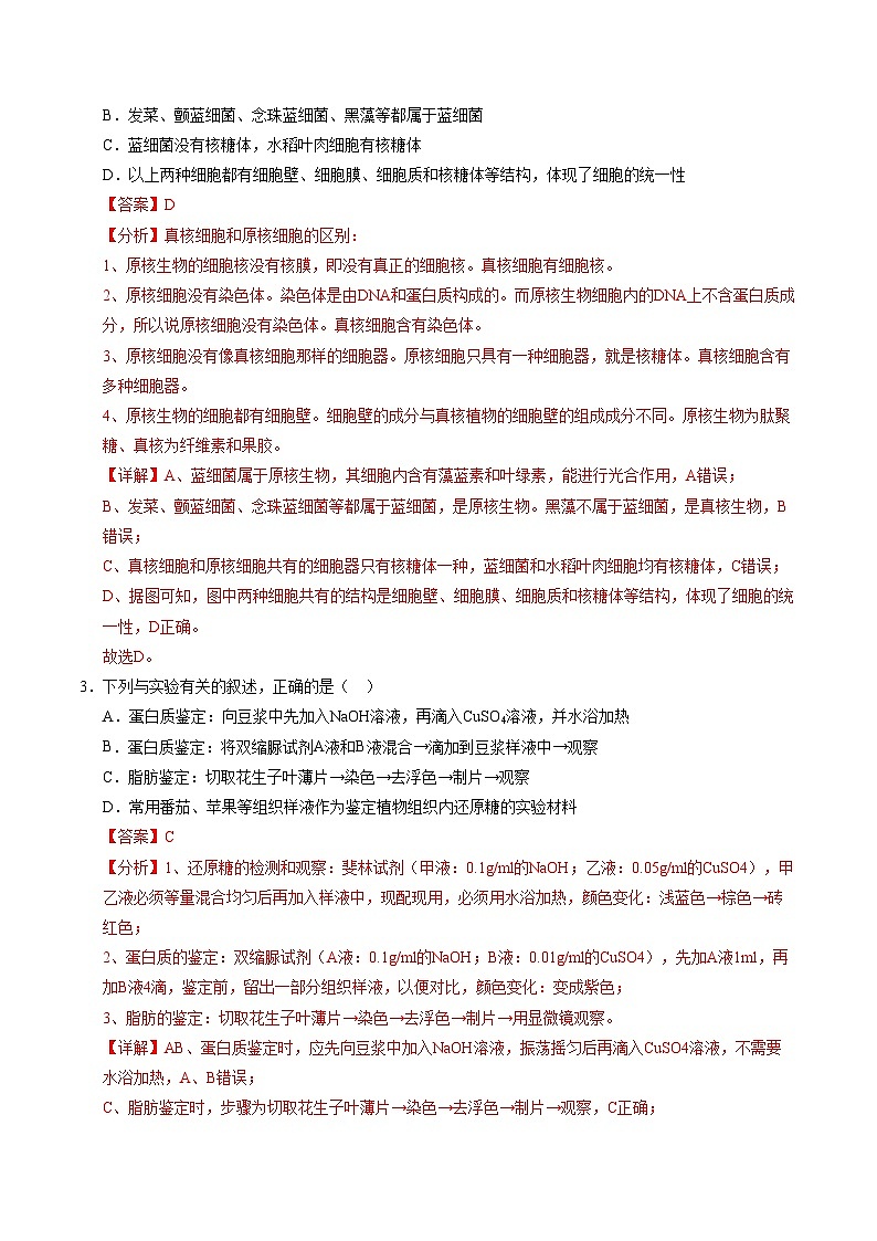 2024-2025学年高一上学期期中模拟考试生物(江苏专用,第1_4章)试卷(Word版附解析)02
