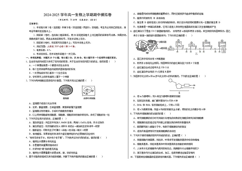 2024-2025学年高一上学期期中模拟考试生物(江苏专用,第1_4章)试卷(Word版附解析)01