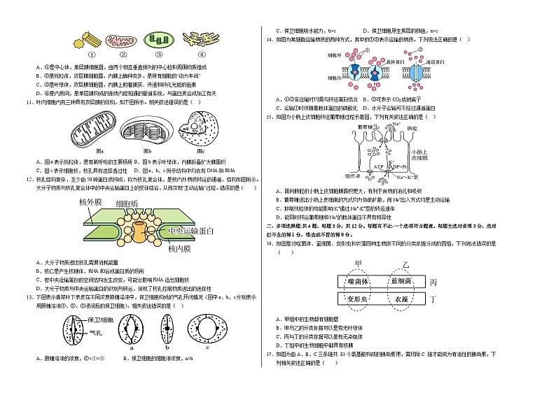 2024-2025学年高一上学期期中模拟考试生物(江苏专用,第1_4章)试卷(Word版附解析)02