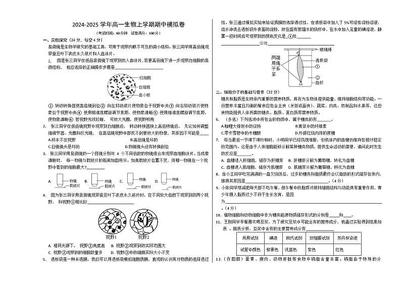 (沪科版2020)(考试版A3)(沪科版2020)第1页
