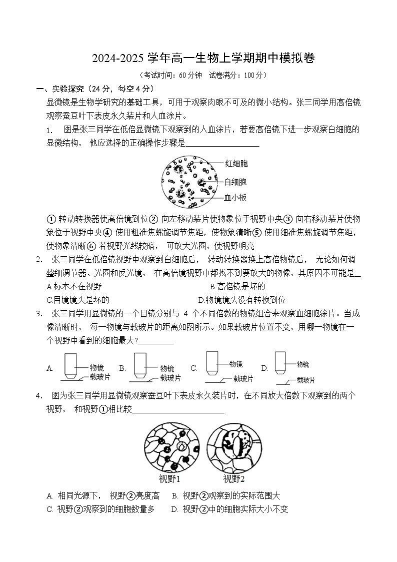 (沪科版2020)(考试版A4)(沪科版2020)第1页