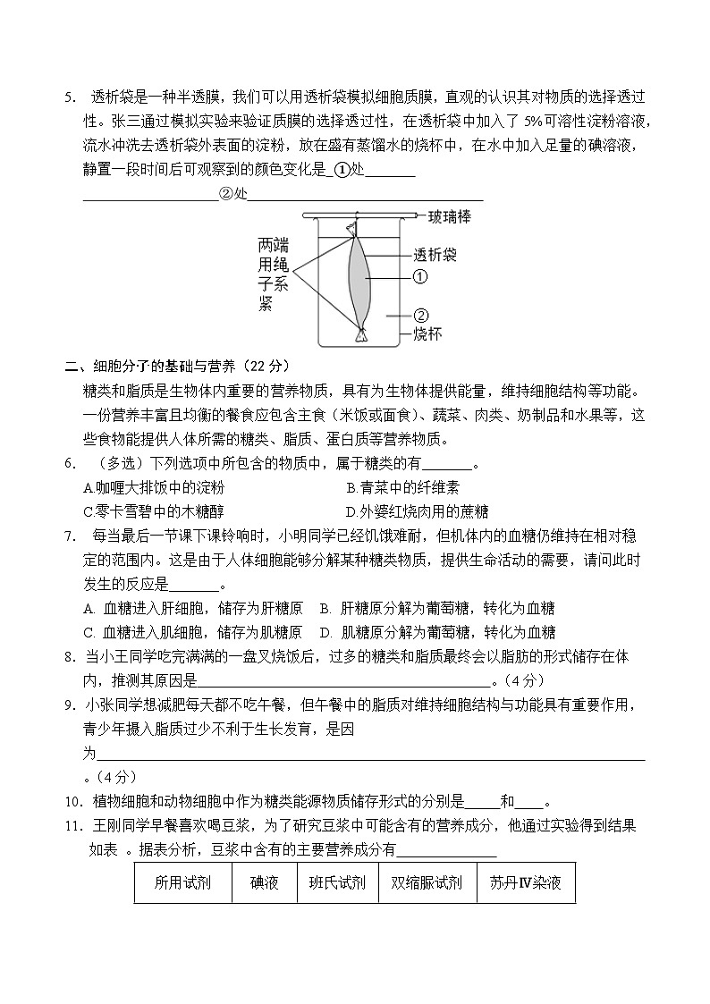 (沪科版2020)(考试版A4)(沪科版2020)第2页
