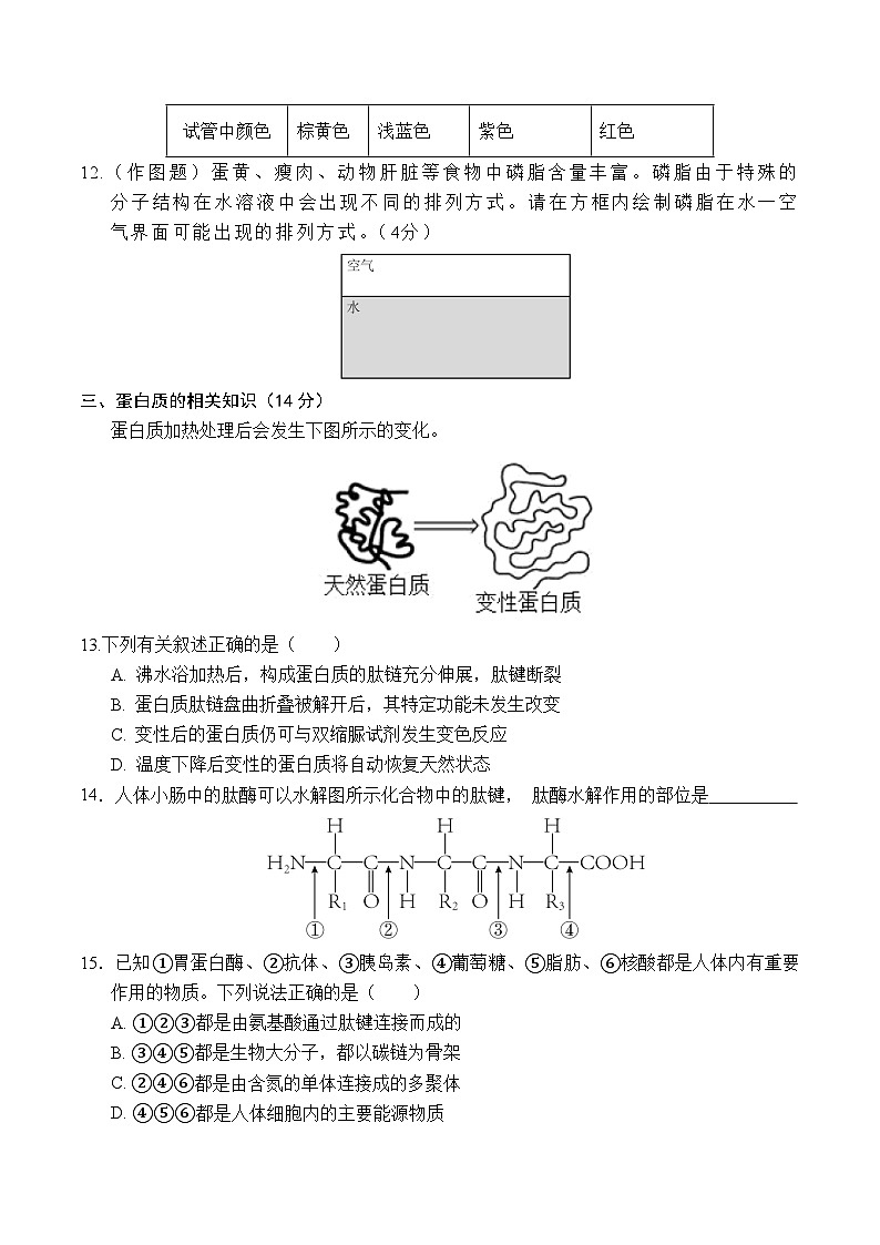 (沪科版2020)(考试版A4)(沪科版2020)第3页
