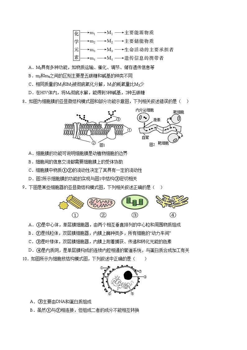 （多選版，人教版2019第1_4章）03【測試范圍：人教版2019第1~4章】（考試版A4）（新高考通用）第3頁