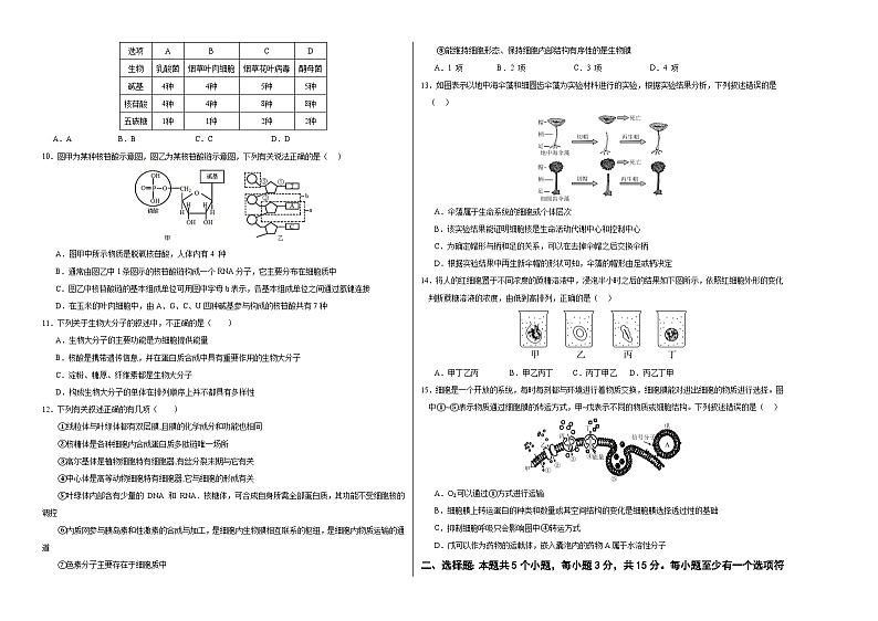 (不定向版,人教版2019第1_4章)02【测试范围:人教版2019第1~4章】(考试版A3)(新高考通用)第2页