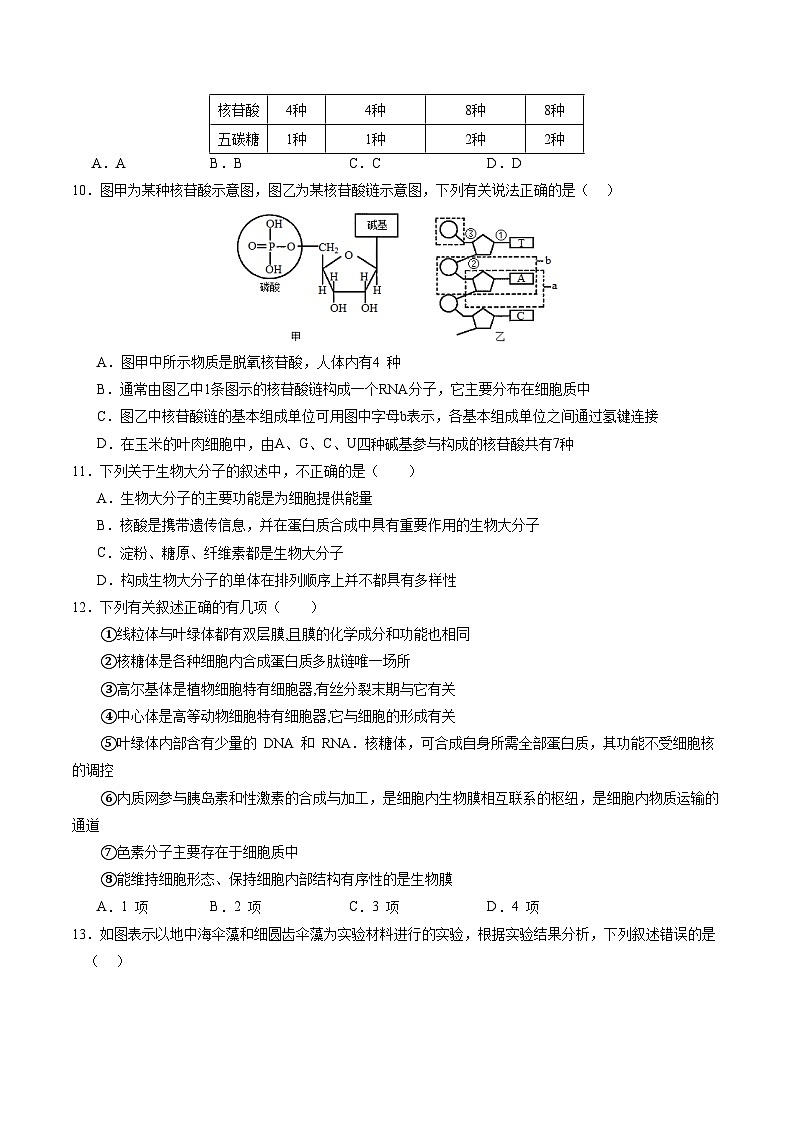 (不定向版,人教版2019第1_4章)02【测试范围:人教版2019第1~4章】(考试版A4)(新高考通用)第3页