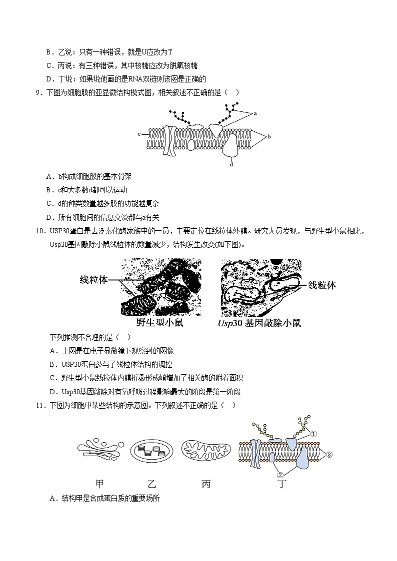 (北京专用,第1_4章)【测试范围:第1~4章】(考试版A4)(北京专用)第3页