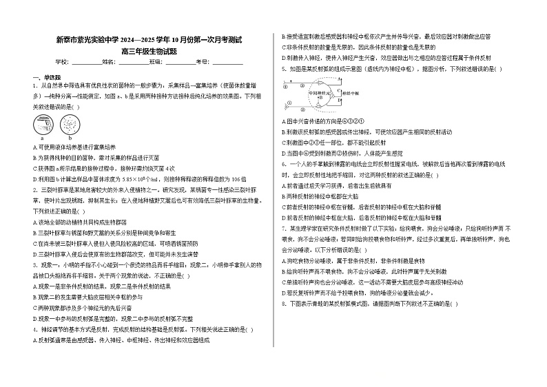 山东省泰安市新泰市紫光实验中学2024-2025学年高三上学期10月份第一次月考测试生物试卷第1页