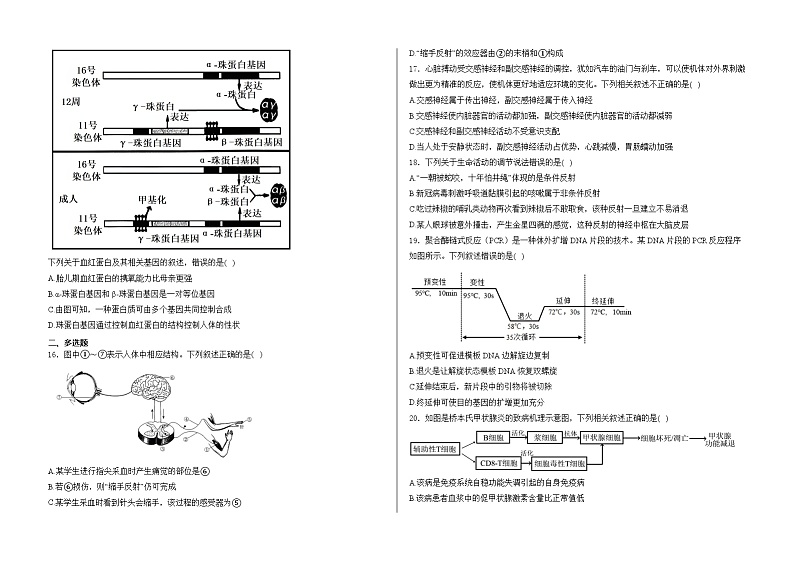 山东省泰安市新泰市紫光实验中学2024-2025学年高三上学期10月份第一次月考测试生物试卷第3页
