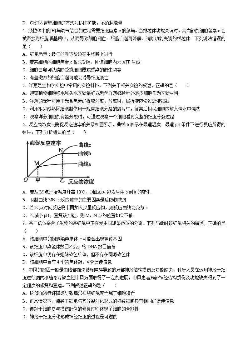 河北省邢台市邢襄联盟2024-2025学年高三上学期10月联考生物试题(无答案)02