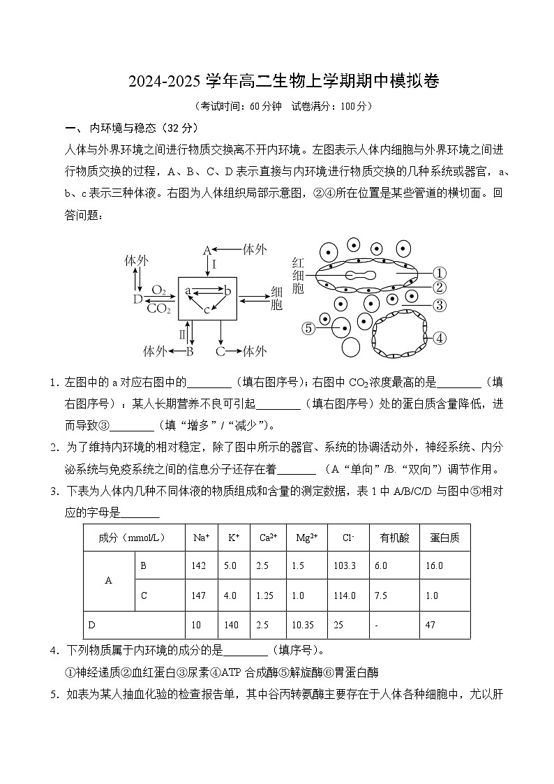 高二生物期中模拟卷(考试版A4)(上海专用)第1页