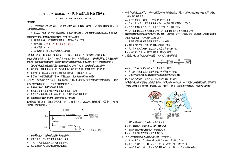 (人教版2019,选择性必修1)01(考试版A3)(人教版2019)第1页