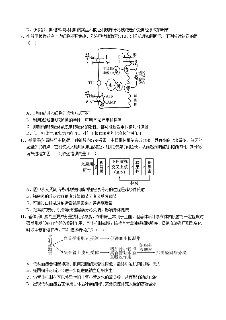 (人教版2019,选择性必修1)01(考试版A4)(人教版2019)第3页