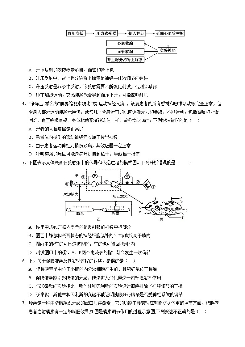2024-2025学年高二上学期期中模拟考试生物(不定向版,人教版2019选必1全册)02试卷(Word版附解析)02