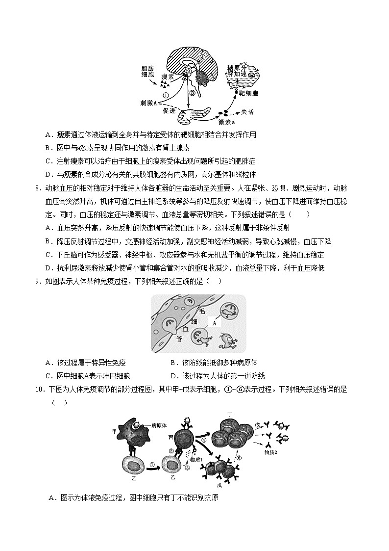 2024-2025学年高二上学期期中模拟考试生物(不定向版,人教版2019选必1全册)02试卷(Word版附解析)03