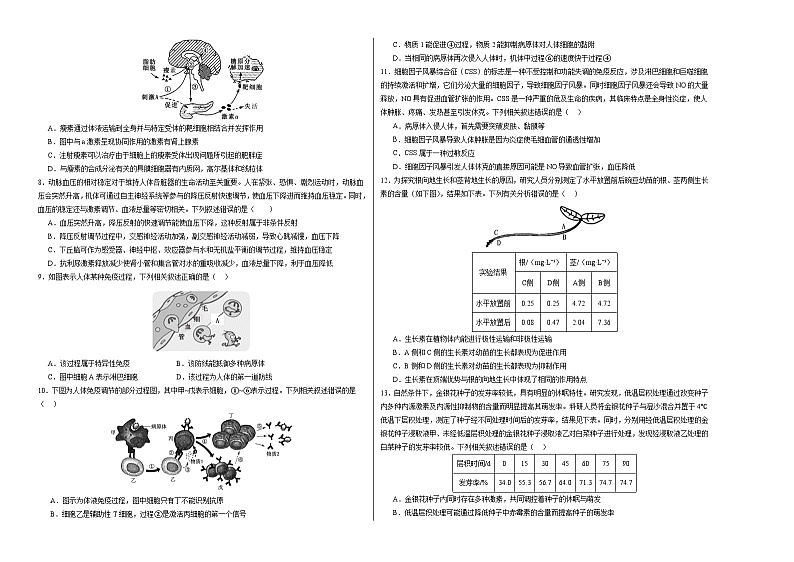 2024-2025学年高二上学期期中模拟考试生物(不定向版,人教版2019选必1全册)02试卷(Word版附解析)02