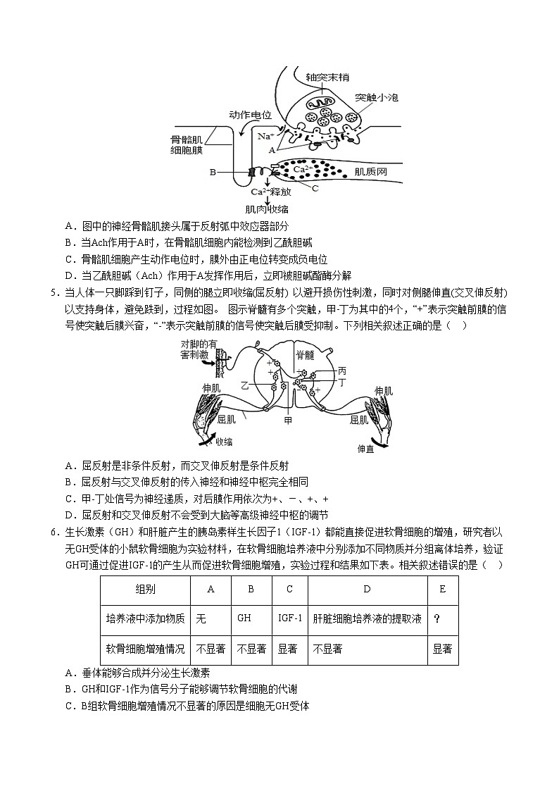 2024-2025学年高二上学期期中模拟考试生物(北京专用,第1~5章)试卷(Word版附解析)02