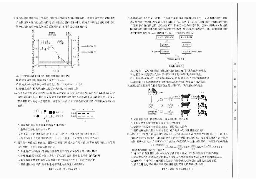 四川省部分學(xué)校2025屆高三10月聯(lián)考+生物第2頁(yè)