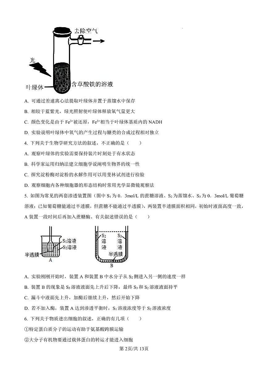 河北省衡水2024-2025學(xué)年高三上學(xué)期綜合素質(zhì)評(píng)價(jià)二+生物第2頁(yè)