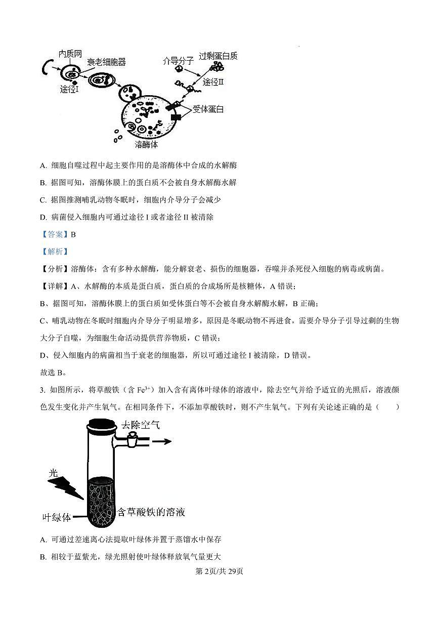 河北省衡水2024-2025學(xué)年高三上學(xué)期綜合素質(zhì)評(píng)價(jià)二+生物答案第2頁(yè)