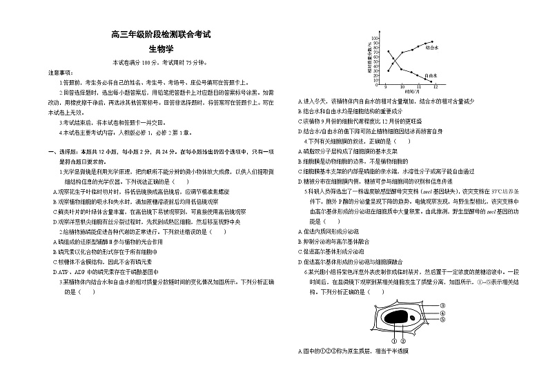 湖南省部分学校2024-2025学年高三年级10月阶段检测联合考试试卷生物(含答案)01