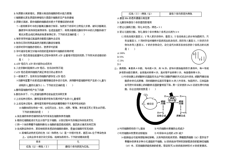 湖南省部分学校2024-2025学年高三年级10月阶段检测联合考试试卷生物(含答案)02