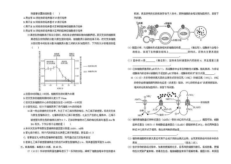 湖南省部分学校2024-2025学年高三年级10月阶段检测联合考试试卷生物(含答案)03