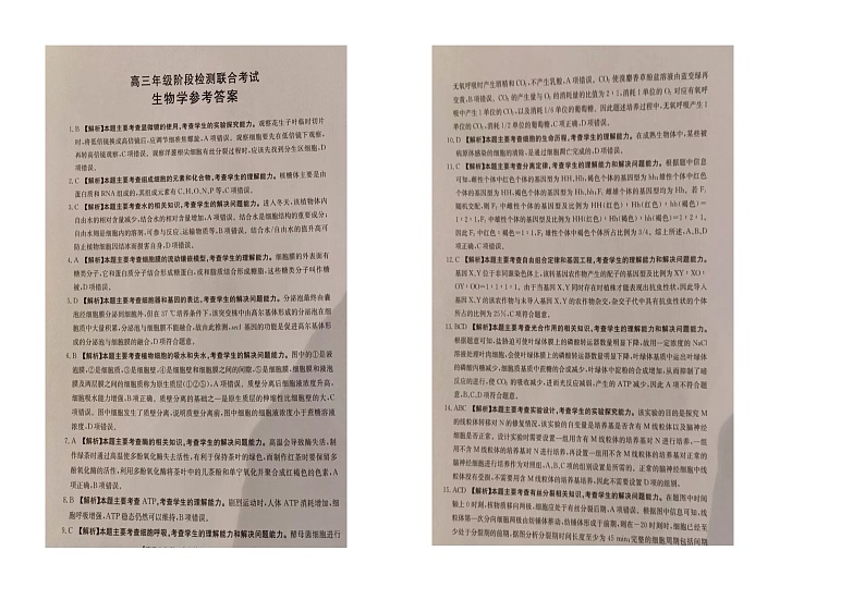 湖南省部分学校2024-2025学年高三年级10月阶段检测联合考试试卷生物(含答案)01