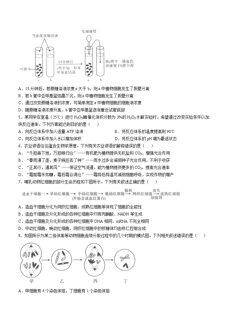 山西省长治市2024-2025学年高三上学期10月月考生物试题(无答案)第2页