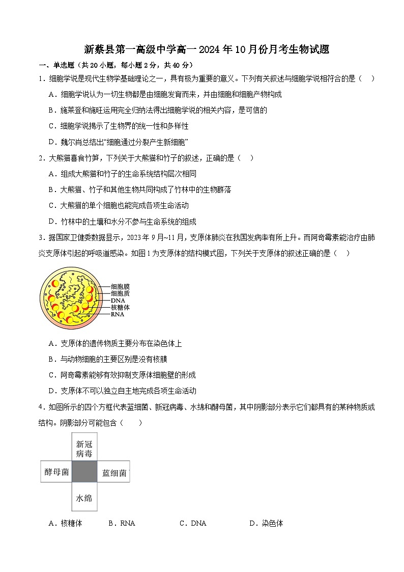 河南省驻马店市新蔡县第一高级中学2024-2025学年高一上学期10月月考生物试题第1页