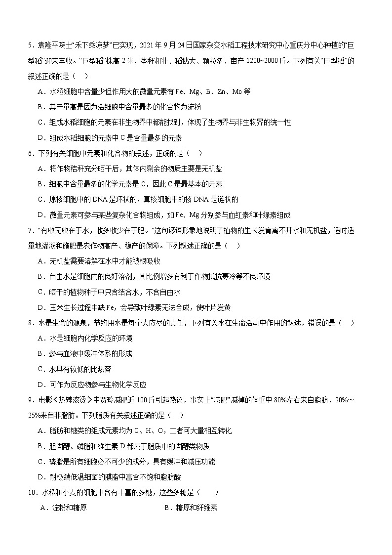 河南省驻马店市新蔡县第一高级中学2024-2025学年高一上学期10月月考生物试题第2页