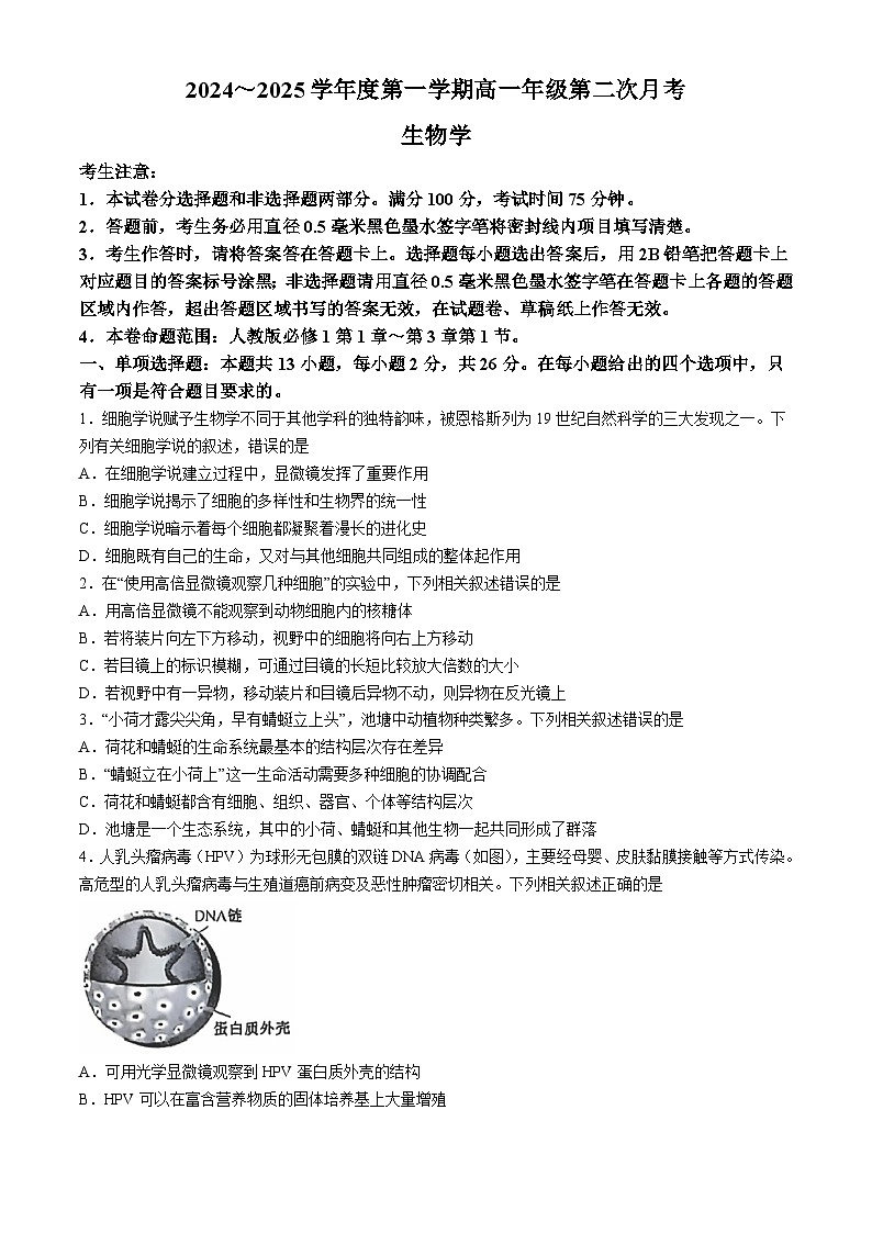 河北省沧州市四县联考2024-2025学年高一上学期10月月考生物试题第1页