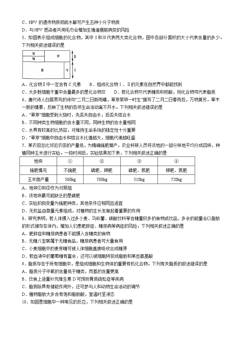 河北省沧州市四县联考2024-2025学年高一上学期10月月考生物试题第2页