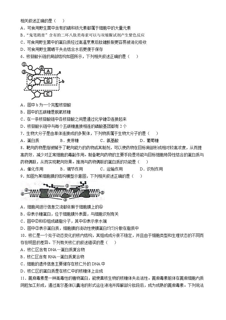 黑龙江省龙东地区2024-2025学年高一上学期阶段测试(期中)生物试卷(二)02