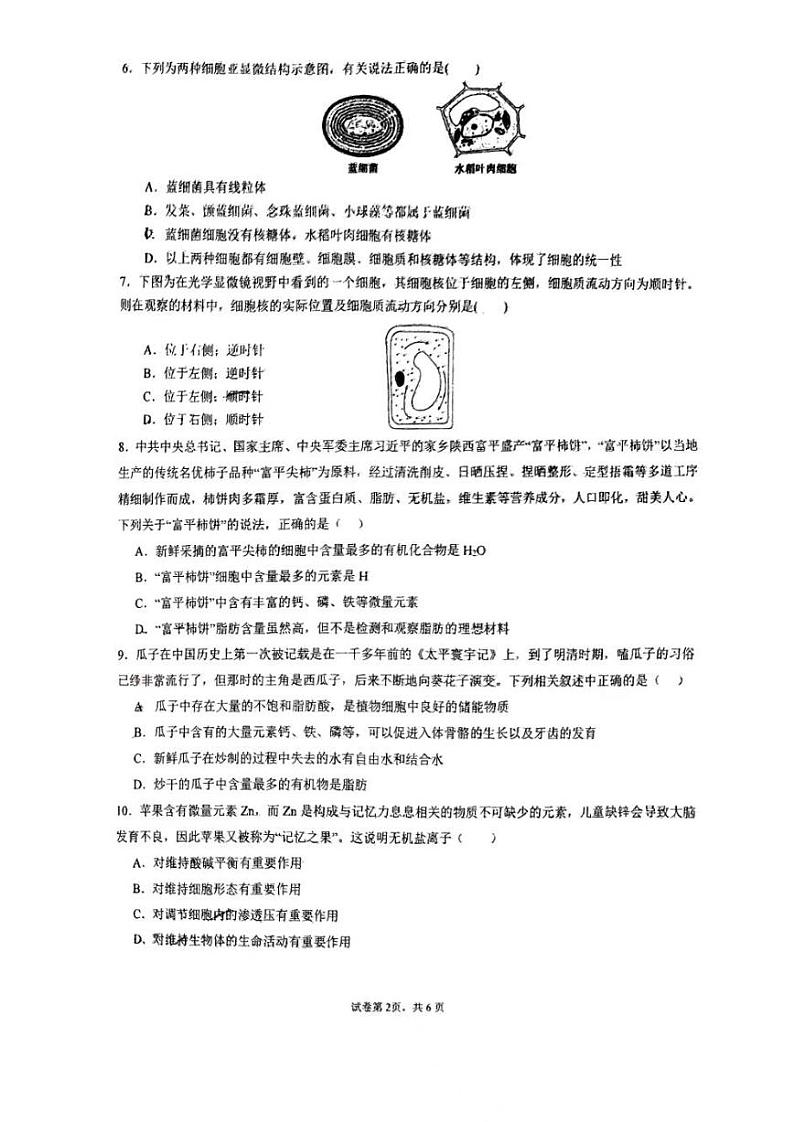 广东实验中学附属江门学校2024-2025学年高一上学期第一次月考生物试题第2页