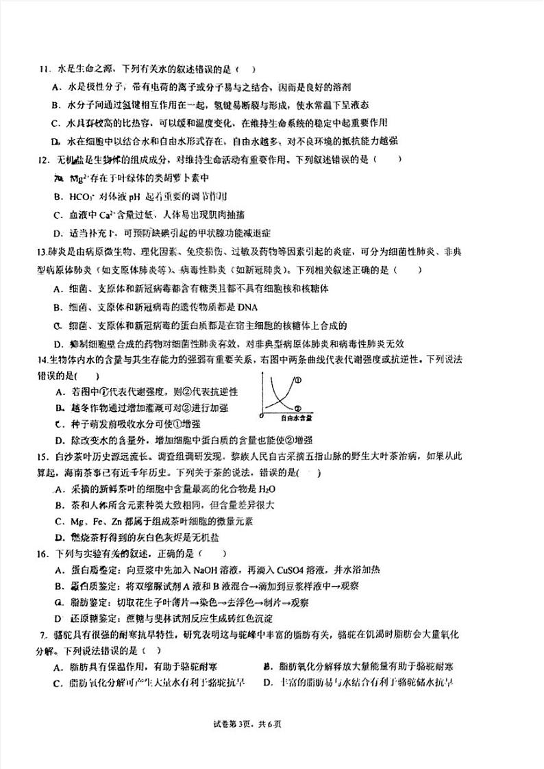 广东实验中学附属江门学校2024-2025学年高一上学期第一次月考生物试题第3页