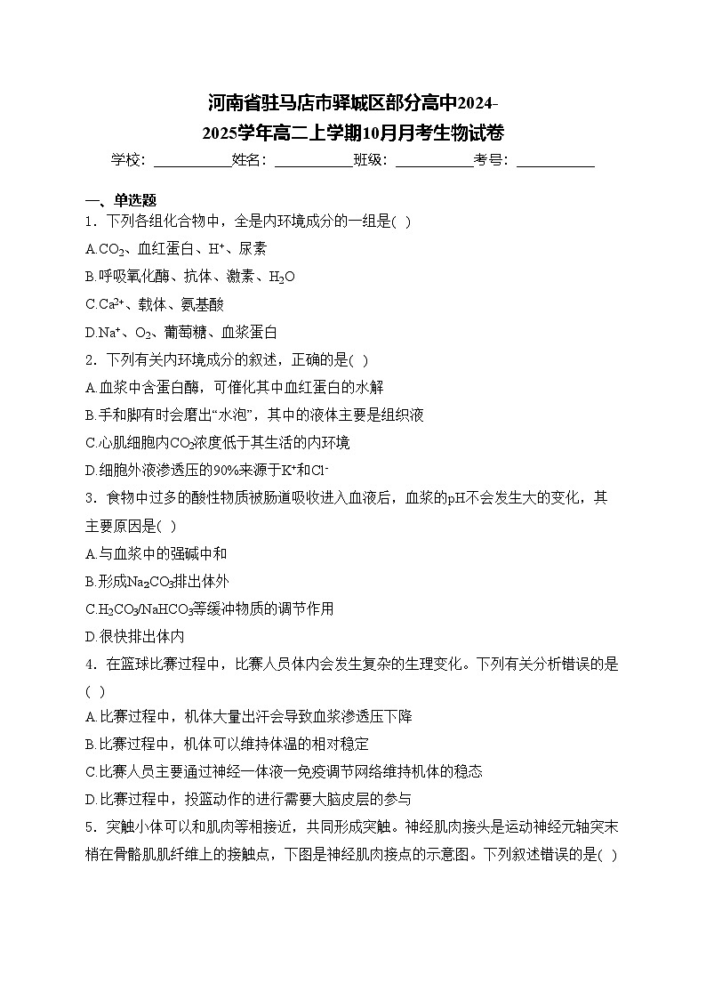 河南省驻马店市驿城区部分高中2024-2025学年高二上学期10月月考生物试卷(含答案)第1页